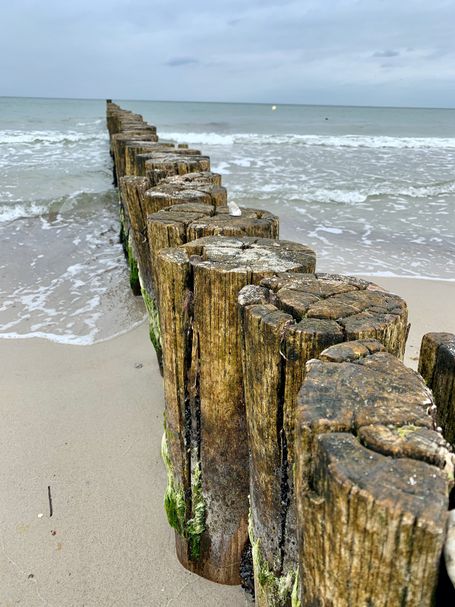 Low Carb -der Weg ist das Ziel